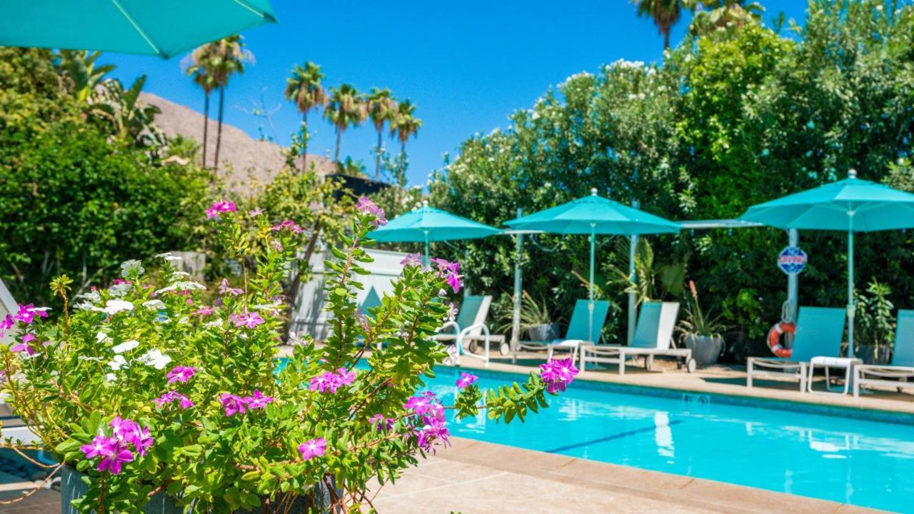 Bellevue Oasis - Adults Only Hotel Palm Springs Ngoại thất bức ảnh